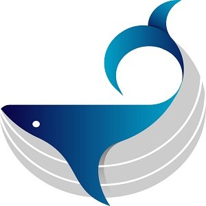 Big Wave Digital