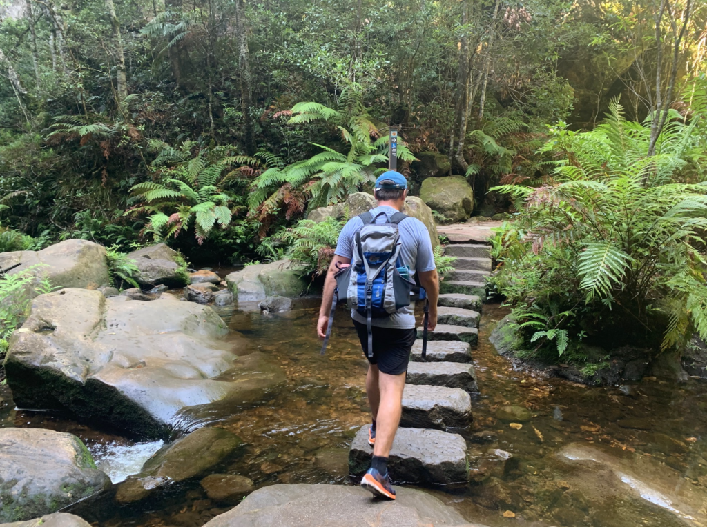 Celebrating AI Appreciation Day: How Big Wave Digital is Shaping the Future of Tech Recruitment in Australia