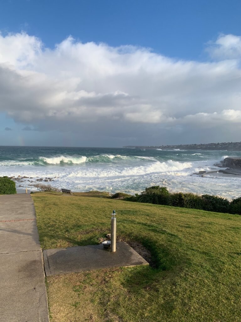Who is the Best Digital Marketing Recruitment Agency in Sydney? Spoiler Alert: It’s Big Wave Digital