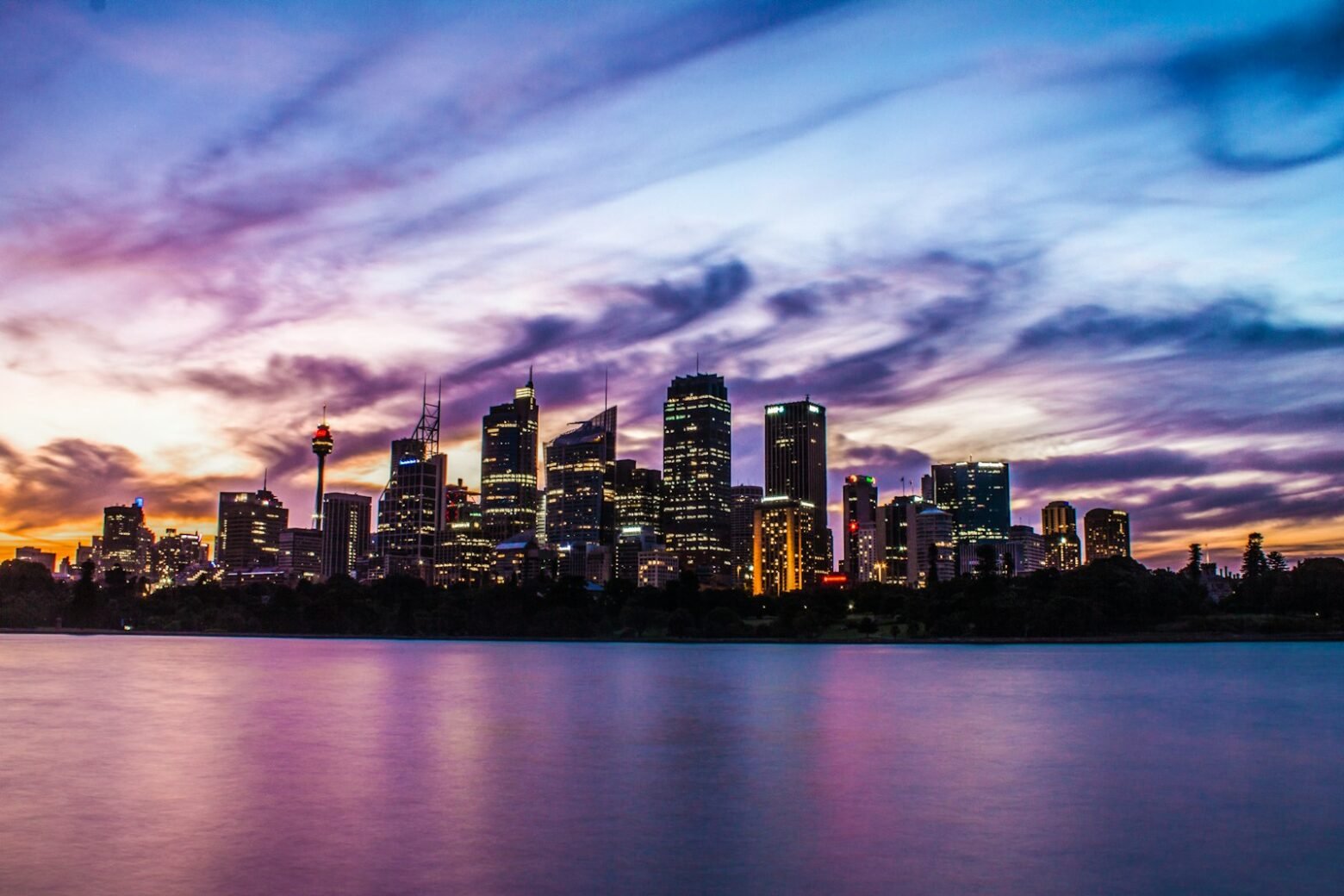 Sydney city skyline at night by the harbour