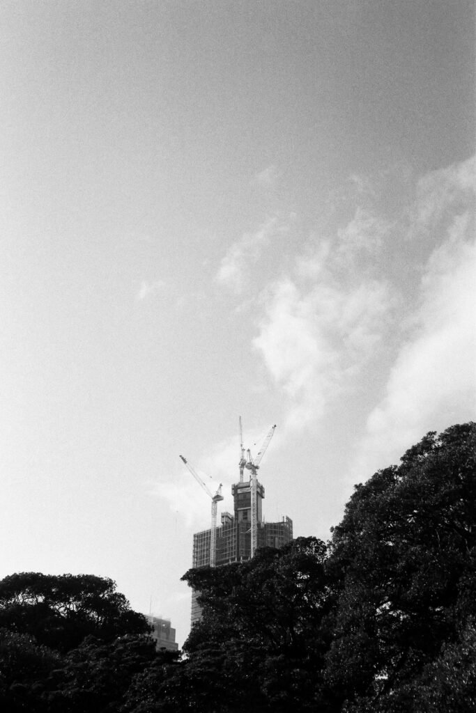 Black and white photo of a Sydney city skyline representing the technology hiring market