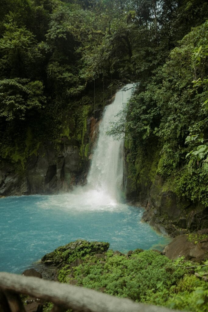 Sunlit rainforest waterfall tumbling over mossy rocks into a clear green pool